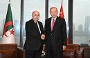 أردوغان: وضعنا أسس تعاون مستقبلي واسع مع الجزائر
