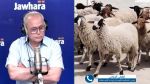 لطفي الرياحي: 'زيادة بـ150د في أسعار الأضاحي خلال الـ3 أيام الأخيرة'