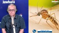 ما هي بعوضة النمر وكيف نتجنّب لسعتها؟ خبير دولي في البيئة يوضّح