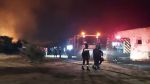 بنزرت: السيطرة على حريق غابة الرمال الشاطئ الكبير