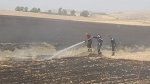 جندوبة: احتراق حوالي هكتار من القمح الصلب