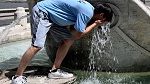 وفاة أكثر من 5000 شخص جرّاء موجة الحر في ألمانيا