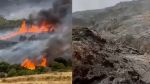 حريق جبل الشحمة في زغوان: المستجدّات (فيديو)