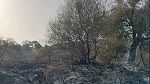 جندوبة : السيطرة على حريق بفرنانة