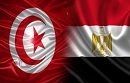 وزير الداخلية يؤكد مستوى التعاون الأمني المتميز وعمق العلاقات بين تونس ومصر