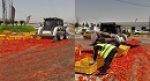 باجة.. انقلاب شاحنة محملة بالطماطم بمفترق المعقولة