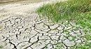 حرائق كارثيّة في تونس والجزائر والمغرب.. منظمة دولية تحذّر من موجات حرّ أشدّ قسوة