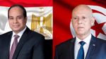 السيسى يؤكد استعداد مصر لدعم تونس في مواجهة الحرائق