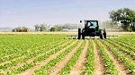 ارتفاع حجم الاستثمارات الفلاحية الخاصة