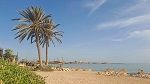 ارتفاع في درجات الحرارة