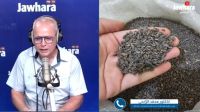 هيئة السّلامة الصحيّة: 'المنتجات الغذائيّة المعروضة بمناسبة المولد سليمة'