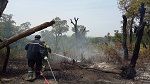برقو: تواصل الجهود للسيطرة على حريق جبل بولمان