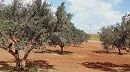 بنزرت.. تنفيذ قرار إسقاط حق في عقار دولي فلاحي واسترجاعه