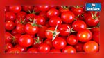 القيروان : غلق مصنع الطماطم لـ3 ايام يثير استياء التجار