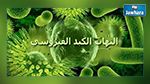 تسجيل 10 حالات إصابة بإلتهاب الكبد الفيروسي خلال شهرين