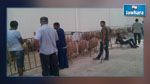 افتتاح أول نقطة بيع للأضاحي في القيروان