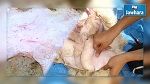 وزارة الصحة تدعو العموم إلى إحكام عمليات التصرف في فضلات الاضاحي واحترام أوقات رفعها