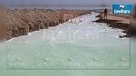 الحرس والجيش يتبادلان إطلاق النار مع مهربين قرب الساتر الترابي في بن ڨردان