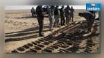 الجيش الجزائري يدمر مخبأين للأسلحة ومواد متفجرة 