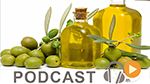 بزنس نيوز ليوم الثلاثاء 10 نوفمبر 2015