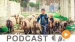  نشرة أخبار منتصف النهار ليوم السبت 14 نوفمبر 2015