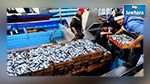 ارتفاع نسبة صادرات منتوجات الصيد البحري