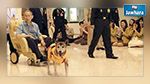 سجن شاب في تايلندا بتهمة عدم احترام كلب الملك