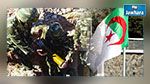 الجزائر : اكتشاف وتدمير 12 مخبأ لارهابيين وقنبلة تقليدية الصنع  