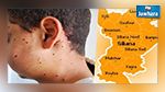 سليانة تحيي الذكرى الثالثة لأحداث الرش بتكريم الرباعي الراعي للحوار