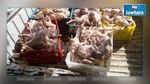منوبة : حجز 750 كلغ من الدجاج المذبوح الفاسد  