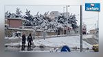سليانة : محتجون يغلقون الطريق بسبب انقطاع التيار الكهربائي منذ 3 أيام