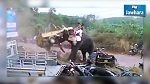 فيل هائج يهاجم سيارات ودراجات في جنوب الهند