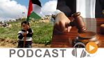 بوليتيكا ليوم الأربعاء 16 مارس 2016
