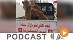 نبّار نيوز ليوم الثلاثاء 12 أفريل 2016
