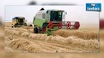 نقابة الفلاحين بالكاف تستغرب تصريحات وزير الفلاحة حول تحسن انتاج الحبوب