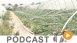 نشرة أخبار السابعة مساء ليوم الخميس 12 ماي 2016