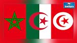 رسمي : ألمانيا تصنف تونس والمغرب والجزائر كدول امنة