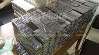 المهدية : حجز 250 كغ 