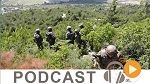 نشرة أخبار منتصف الليل ليوم الأحد 3 جويلية 2016
