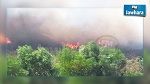 اندلاع حرائق جديدة في ولاية الكاف