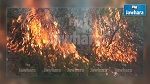 اندلاع حريقين في جبل السرج بسليانة