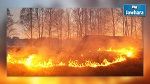 سليانة : حريق يأتي على 10 هكتارات من الغابات في جبل كسرى