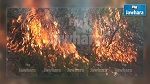 سليانة : السيطرة على حريق جبل بلوطة 