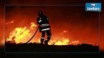حريق بسوق الزهروني بتونس العاصمة