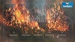 سليانة : اندلاع حريق بجبل بلوطة 