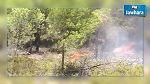 السيطرة على حريقي جبلي السرج وبلوطة