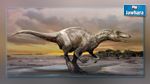 العثور على أثر لقدم ديناصور يفوق عرضها المتر 