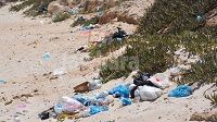 وضعية مزرية في شط مريم