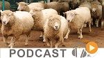 نشرة أخبار منتصف الليل ليوم الجمعة 12 أوت 2016