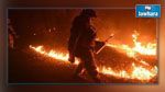 حريق يأتي على 175 منزلا وشركة في كالفورنيا
